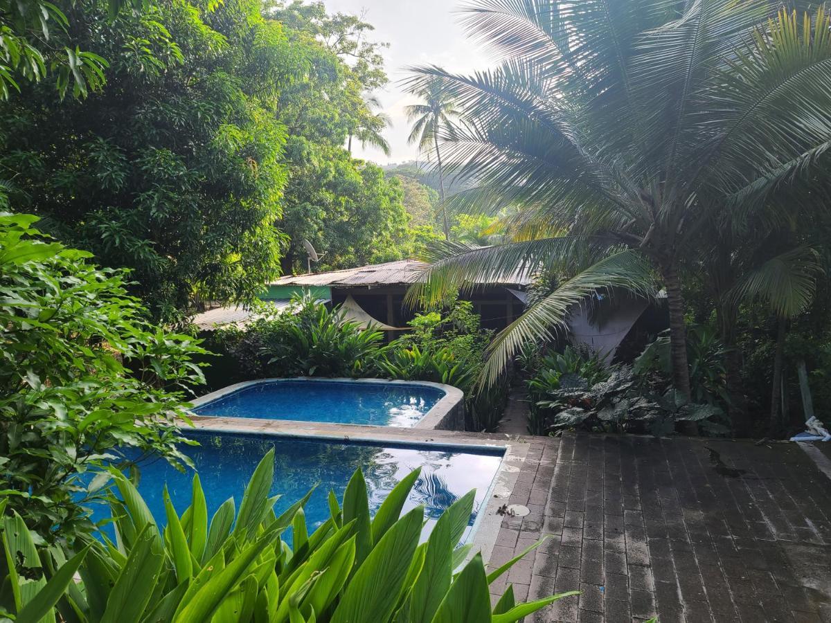 Hammock Plantation Vandrarhem El Zonte Exteriör bild